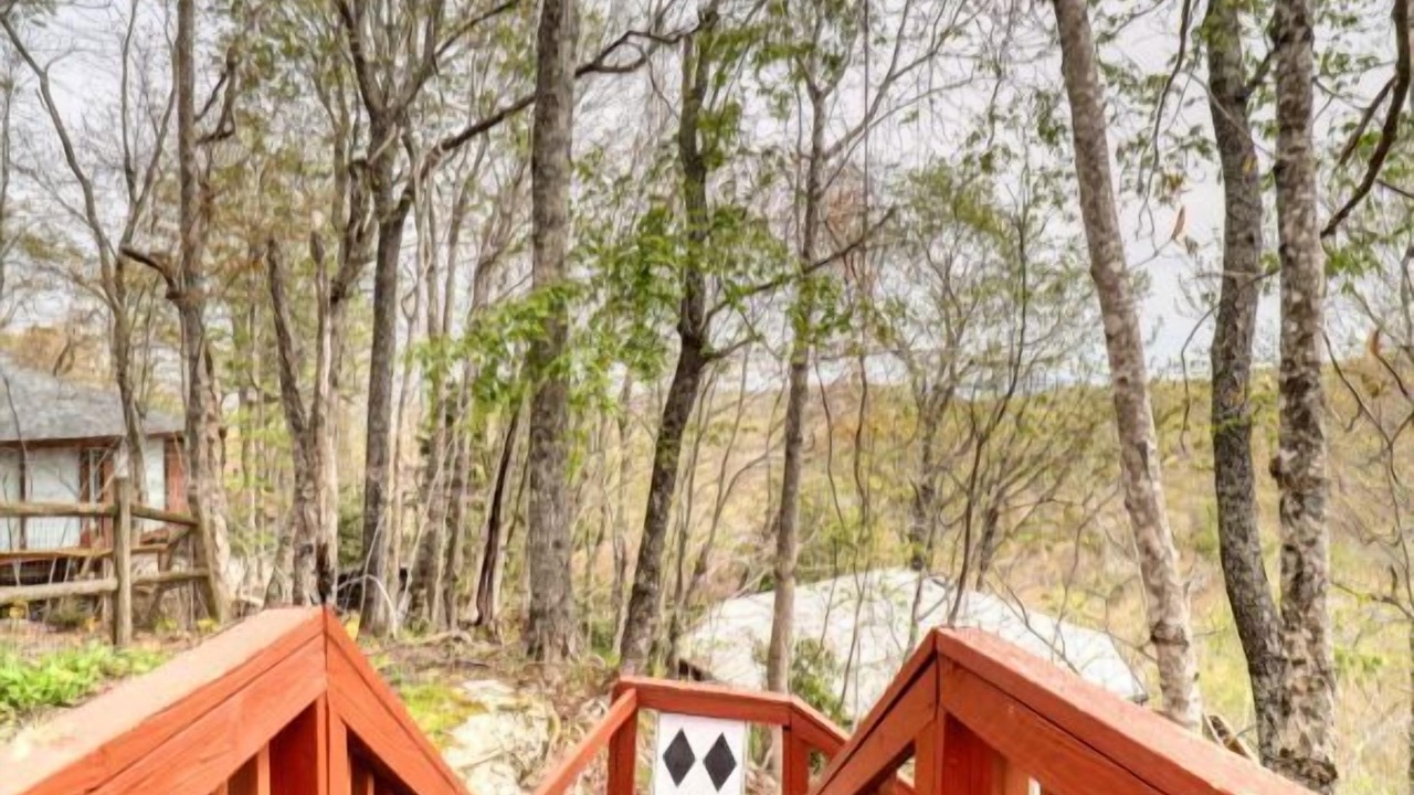 Photo of Outdoor in Beech Mountain