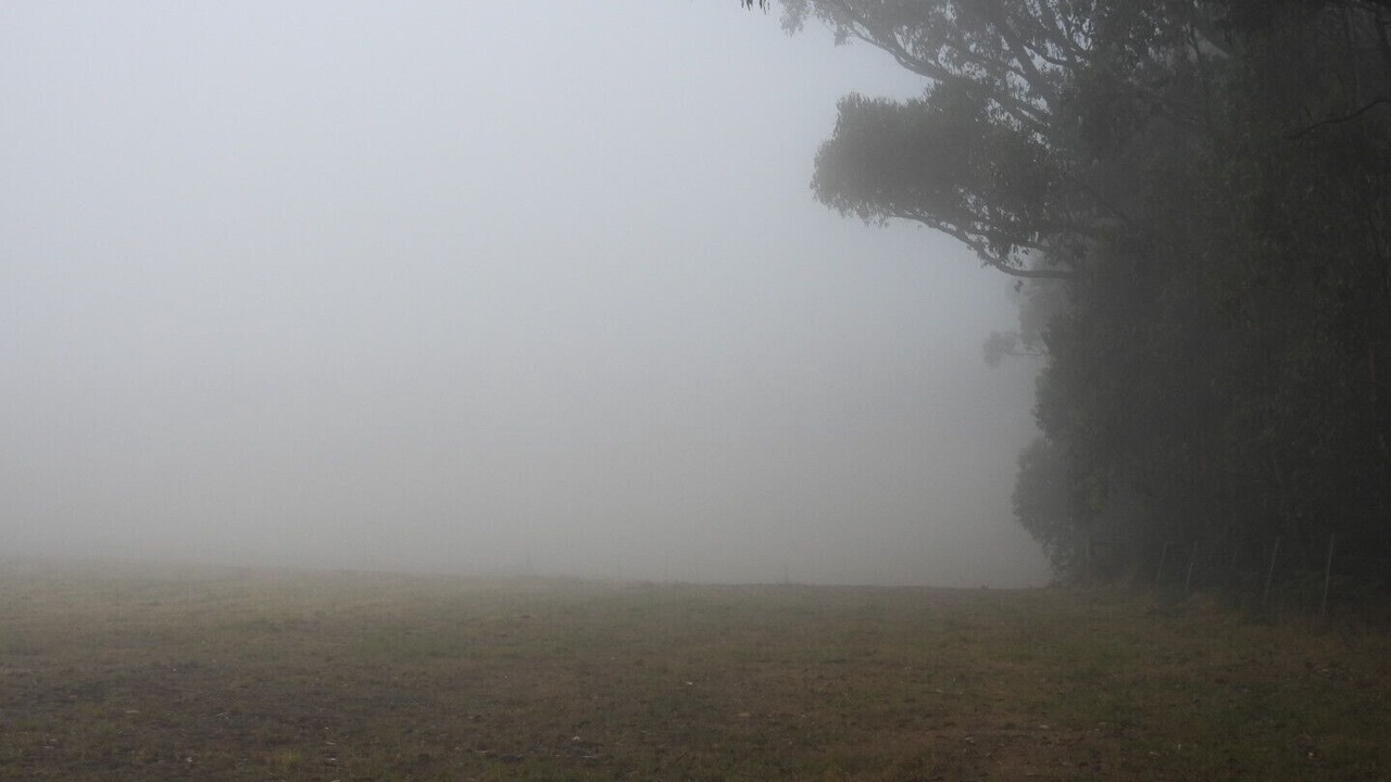 Photo of Others in Kinglake