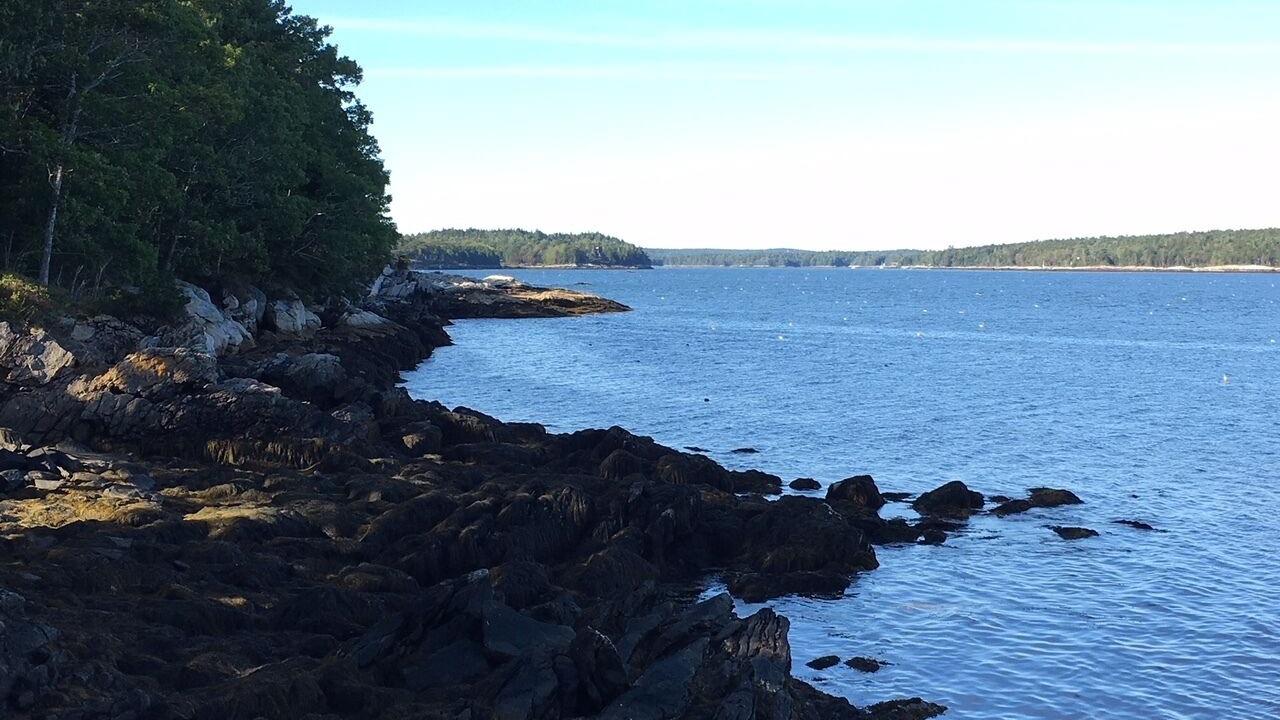 Photo of Others in South Bristol