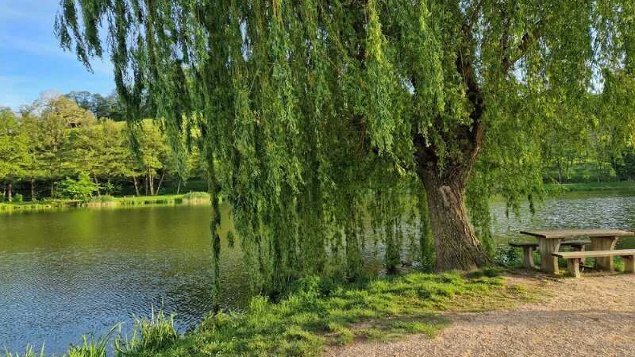 Photo of Others in Matour