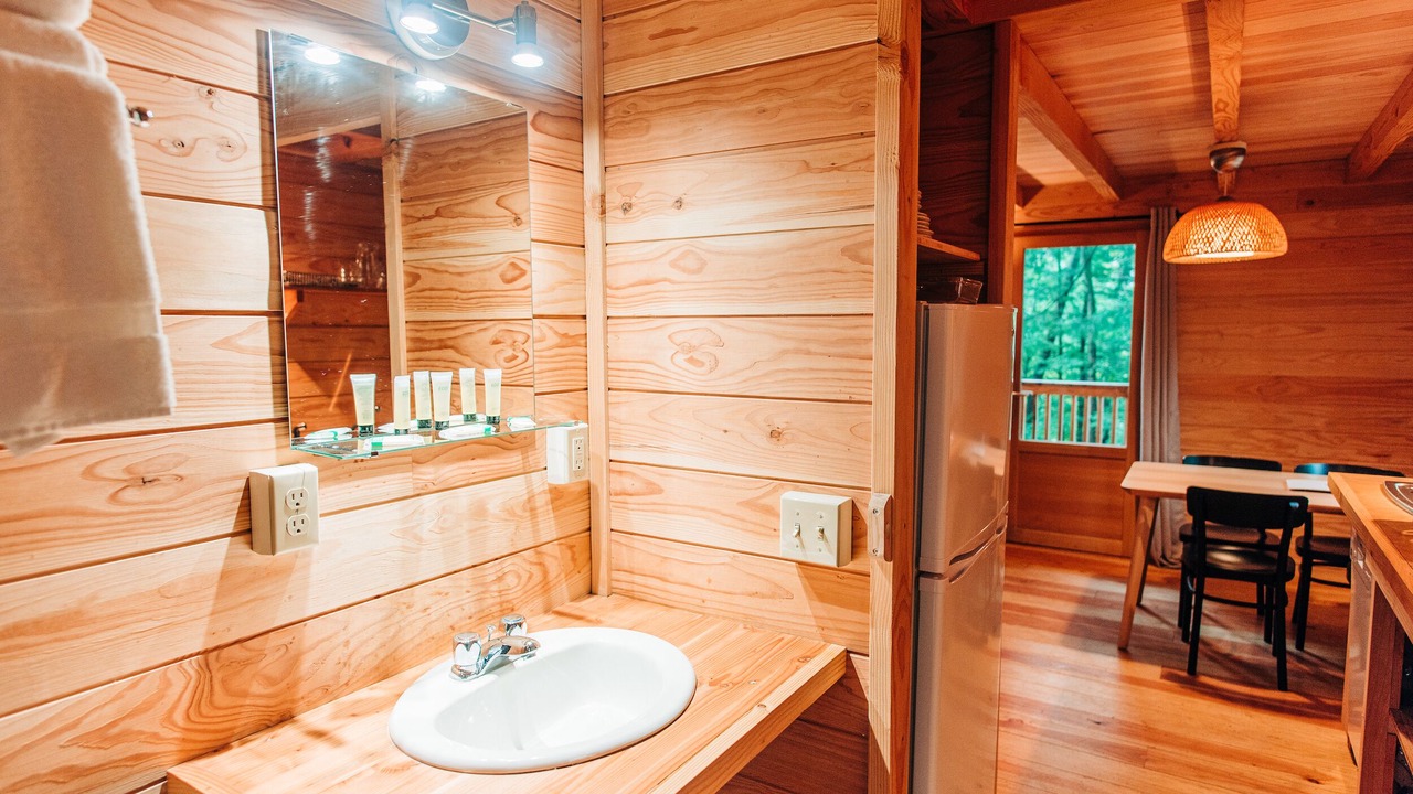 Photo of Bathroom in Saint-Faustin-Lac-Carre