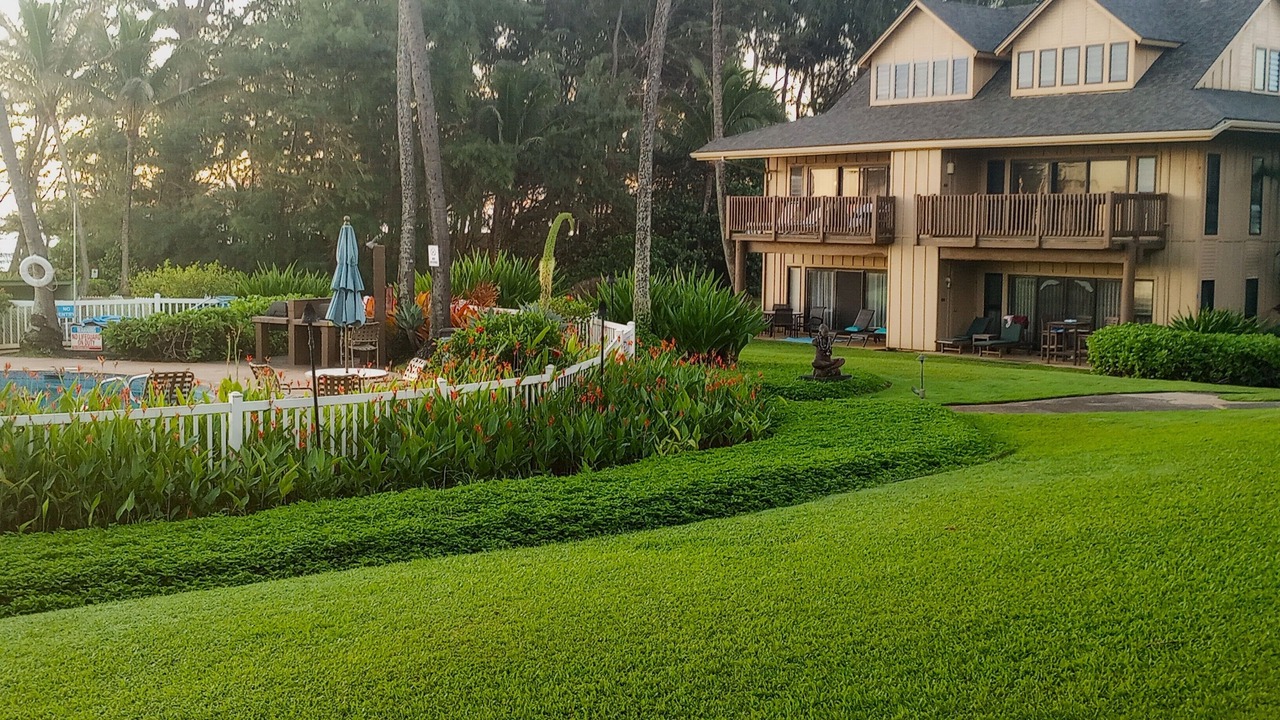 Photo of Others in Lihue