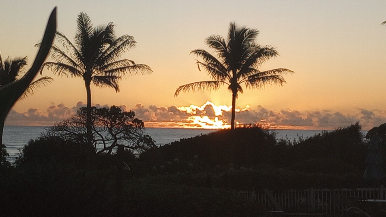 Photo of Others in Lihue