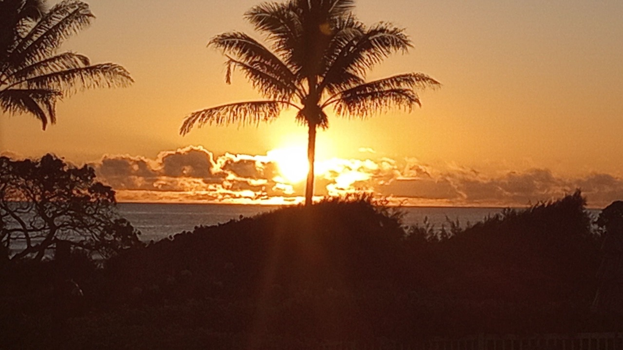 Photo of Others in Lihue