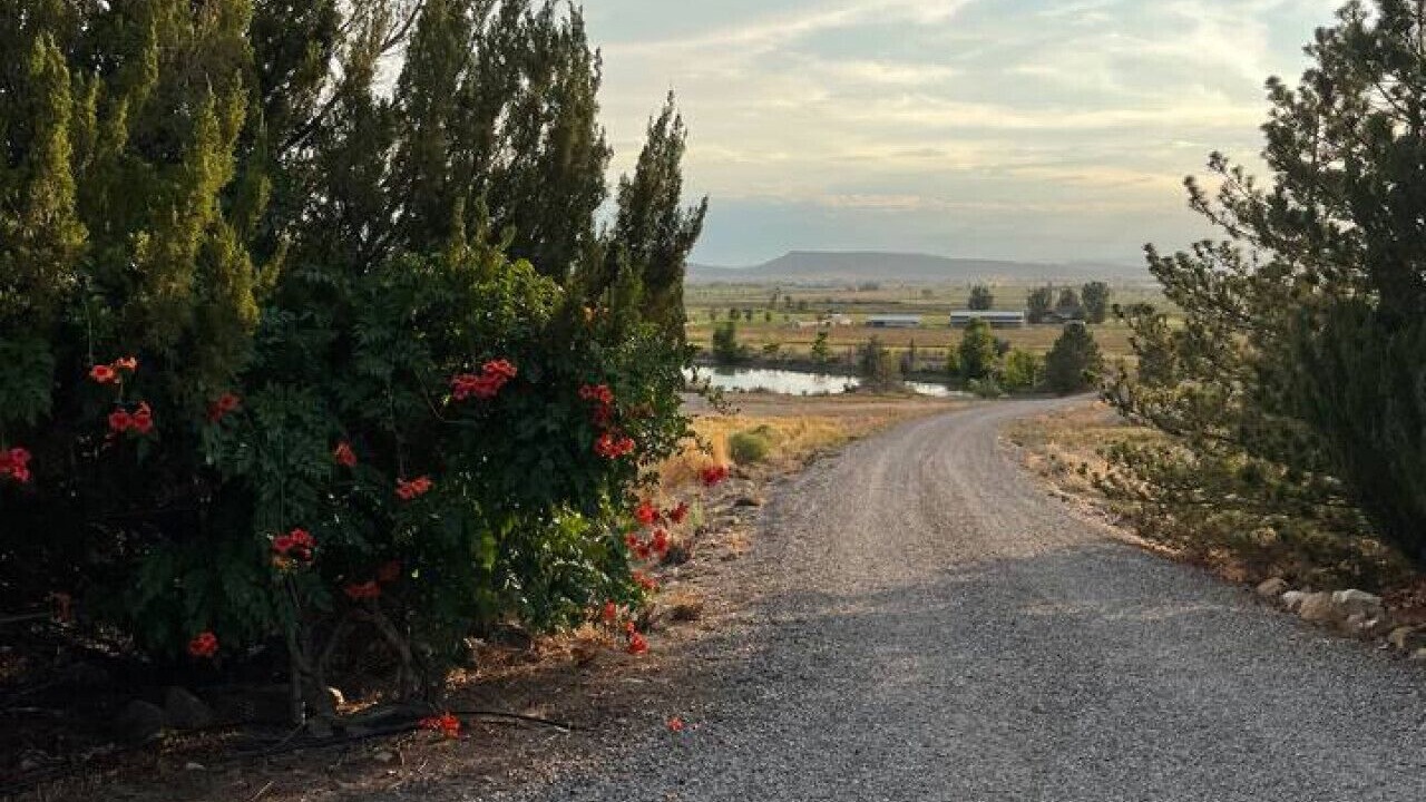 Photo of Others in Loma