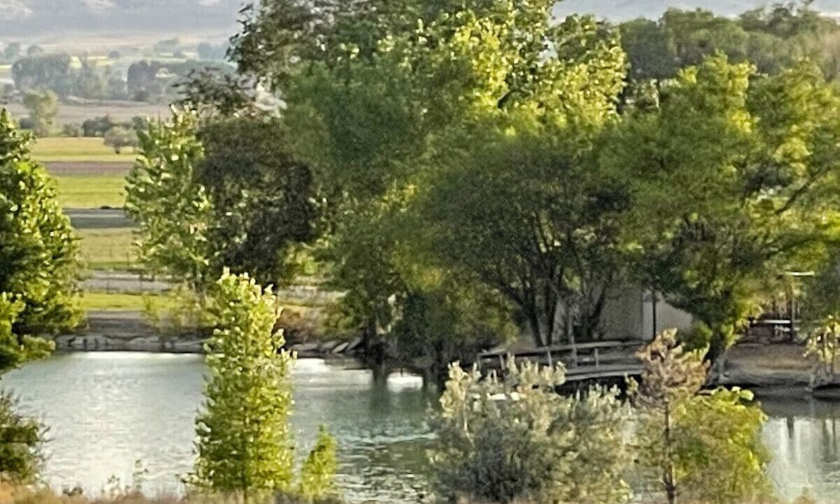 Photo of Others in Loma