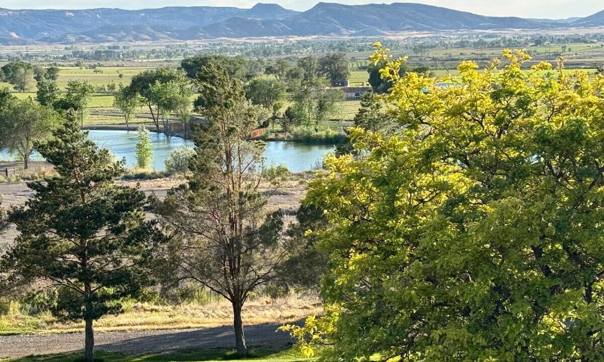 Photo of Others in Loma