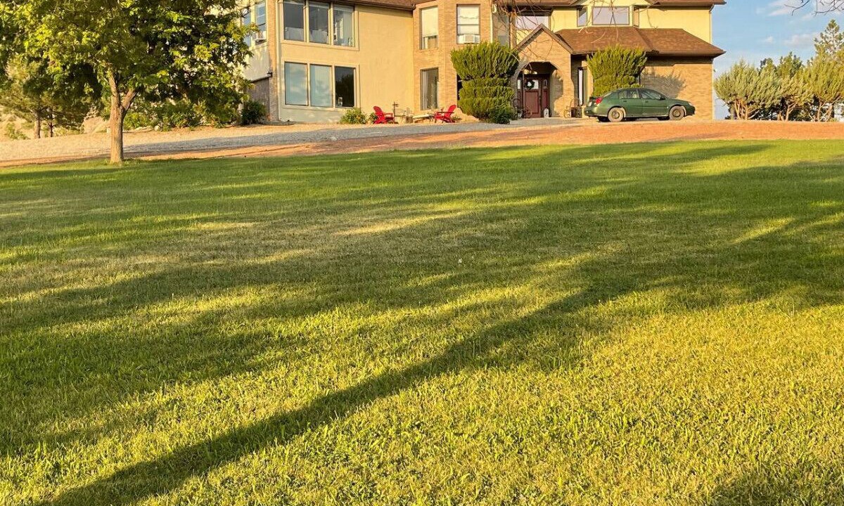Photo of Others in Loma