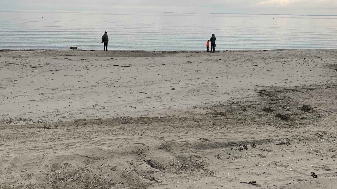 Photo of Others in Hasmark Strand