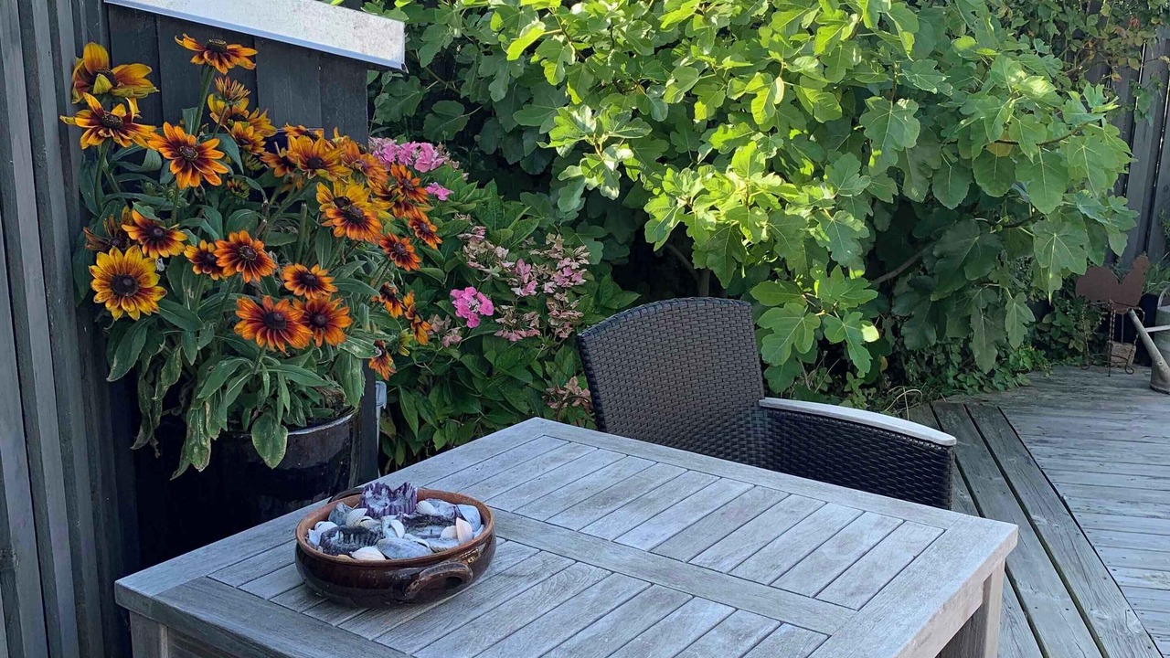 Photo of Others in Hasmark Strand