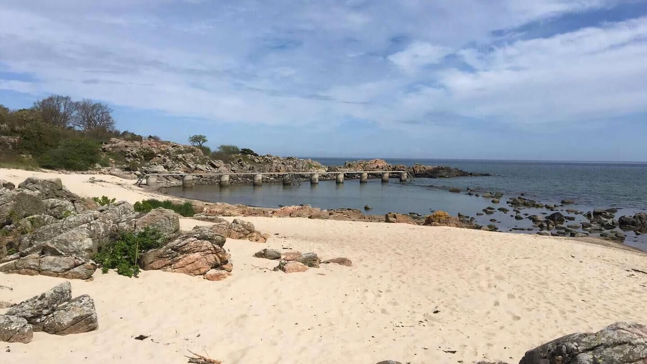 Photo of Others in Sandkaas
