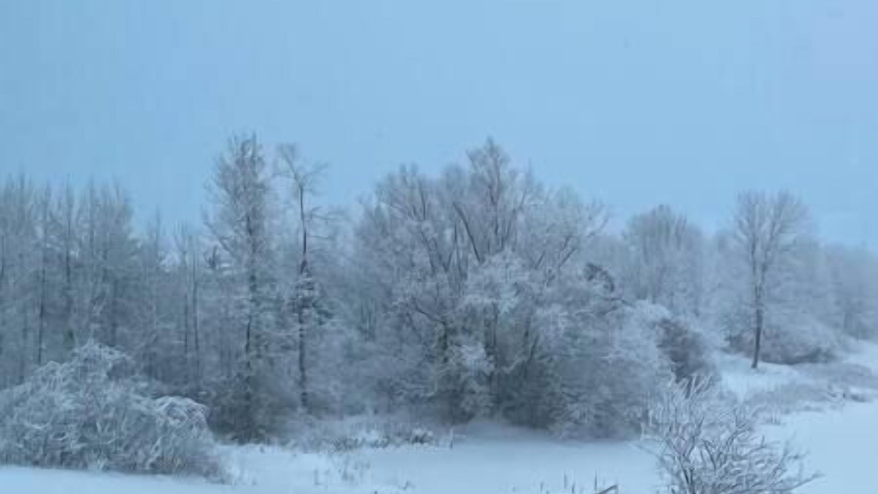 Photo of Others in Grey Highlands
