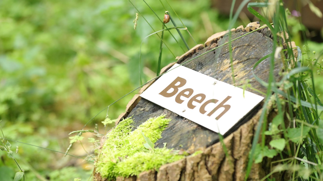 Photo of Outdoor in Aldborough