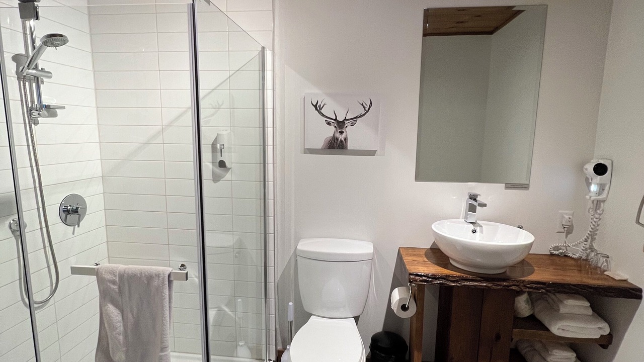 Photo of Bathroom in Chicoutimi