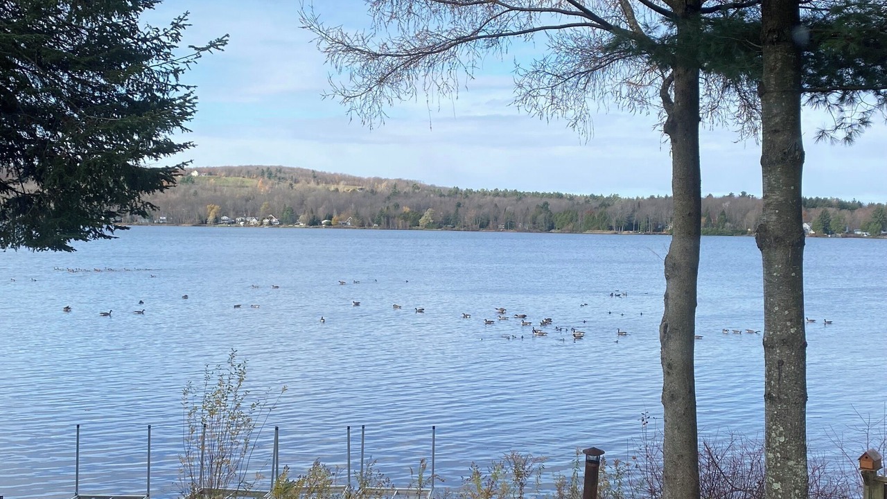 Photo of Others in Dunham