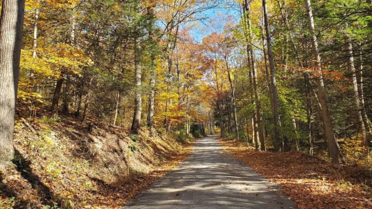 Photo of Others in Cocolamus