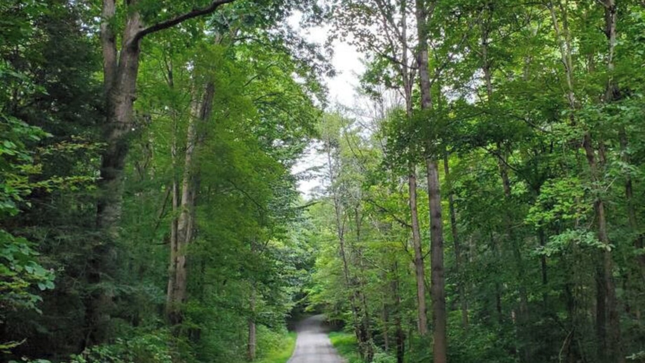 Photo of Others in Cocolamus