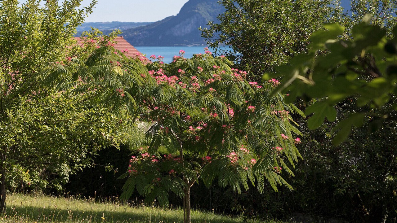 Photo of Outdoor in Cessenaz