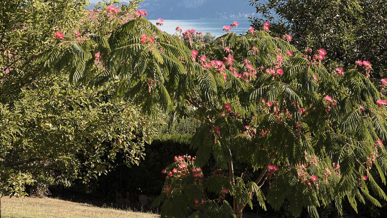 Photo of Outdoor in Cessenaz