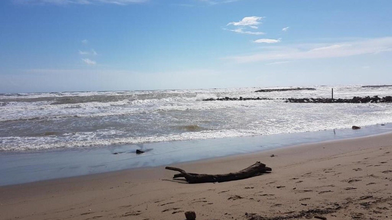 Photo of Others in Serignan