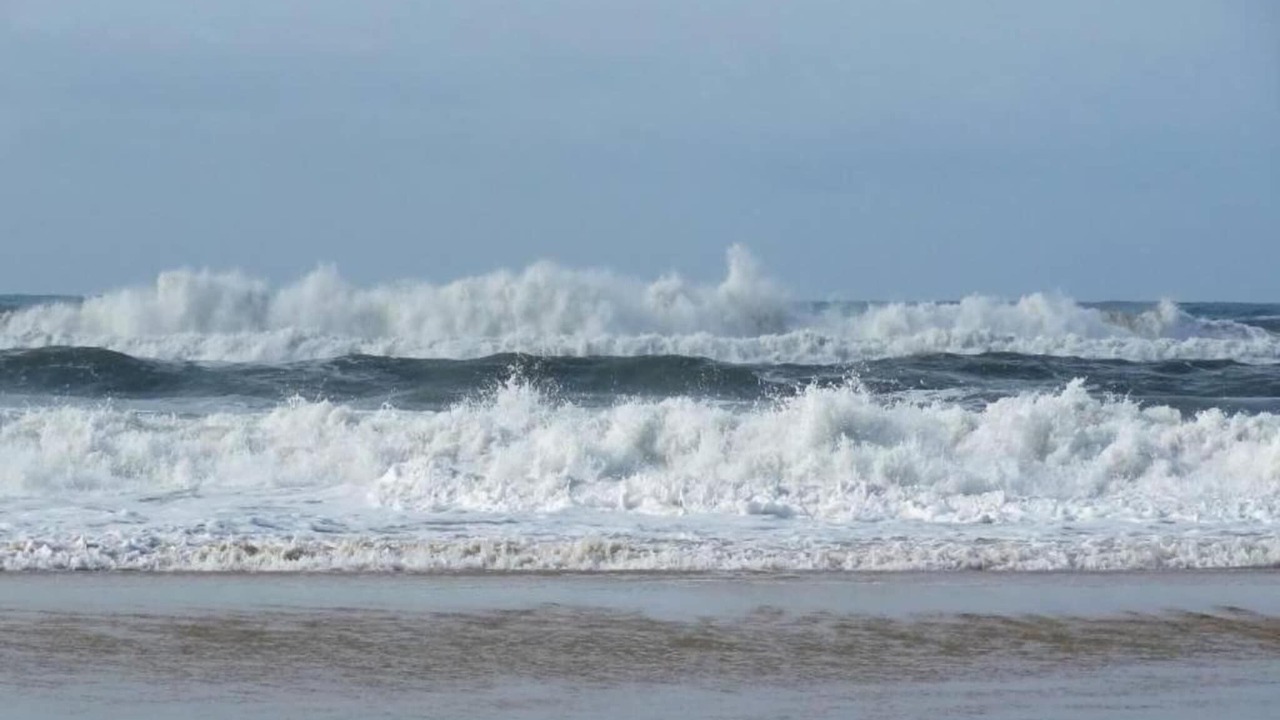 Photo of Others in Serignan