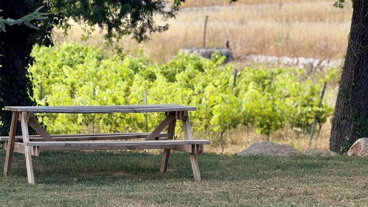 Photo of Outdoor in Saint-Maximin-la-Sainte-Baume