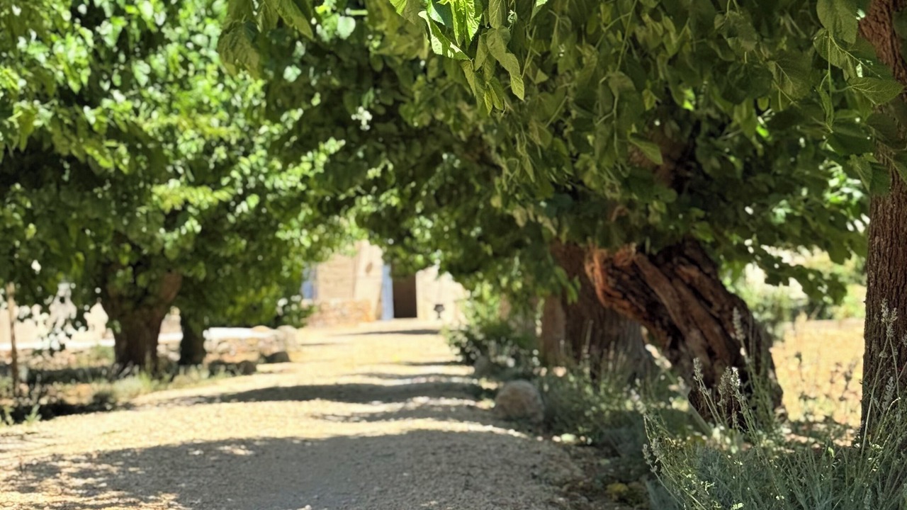 Photo of Outdoor in Saint-Maximin-la-Sainte-Baume