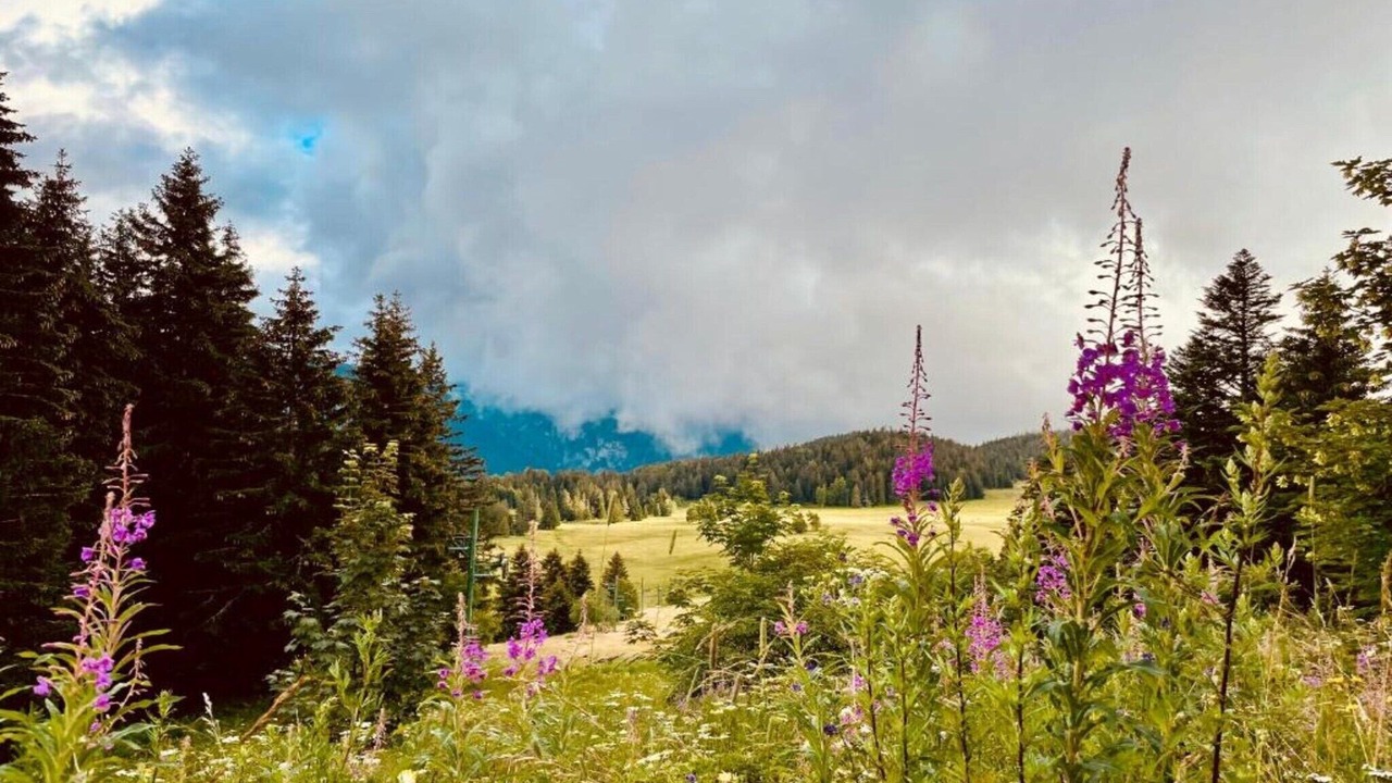 Photo of Others in Chamrousse