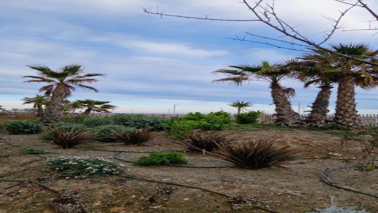 Photo of Others in Serignan