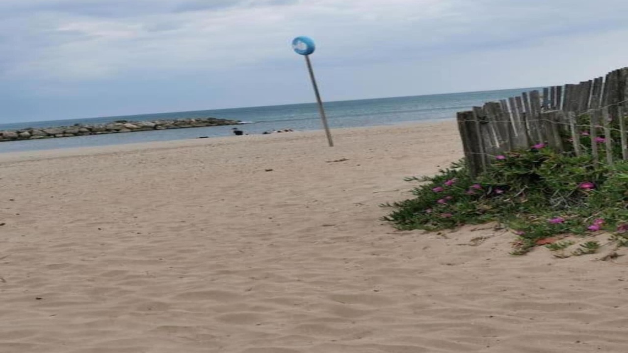 Photo of Others in Serignan