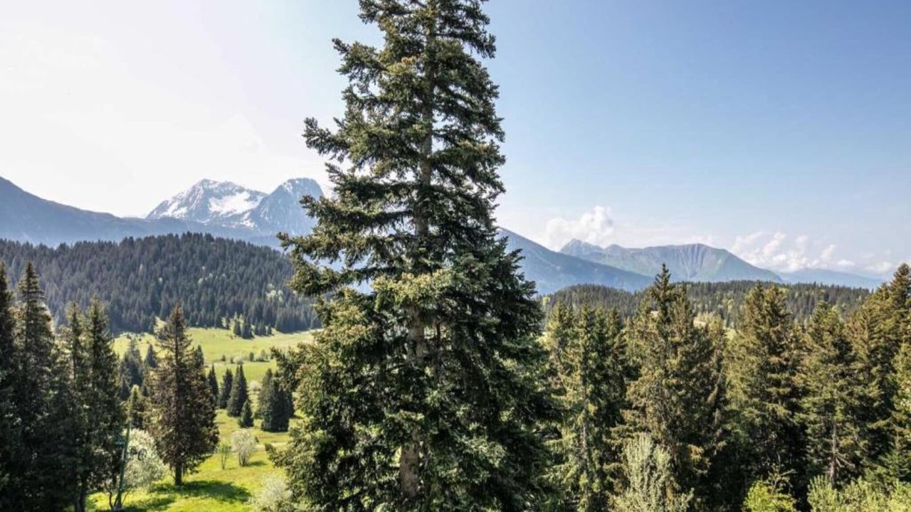 Photo of Others in Chamrousse