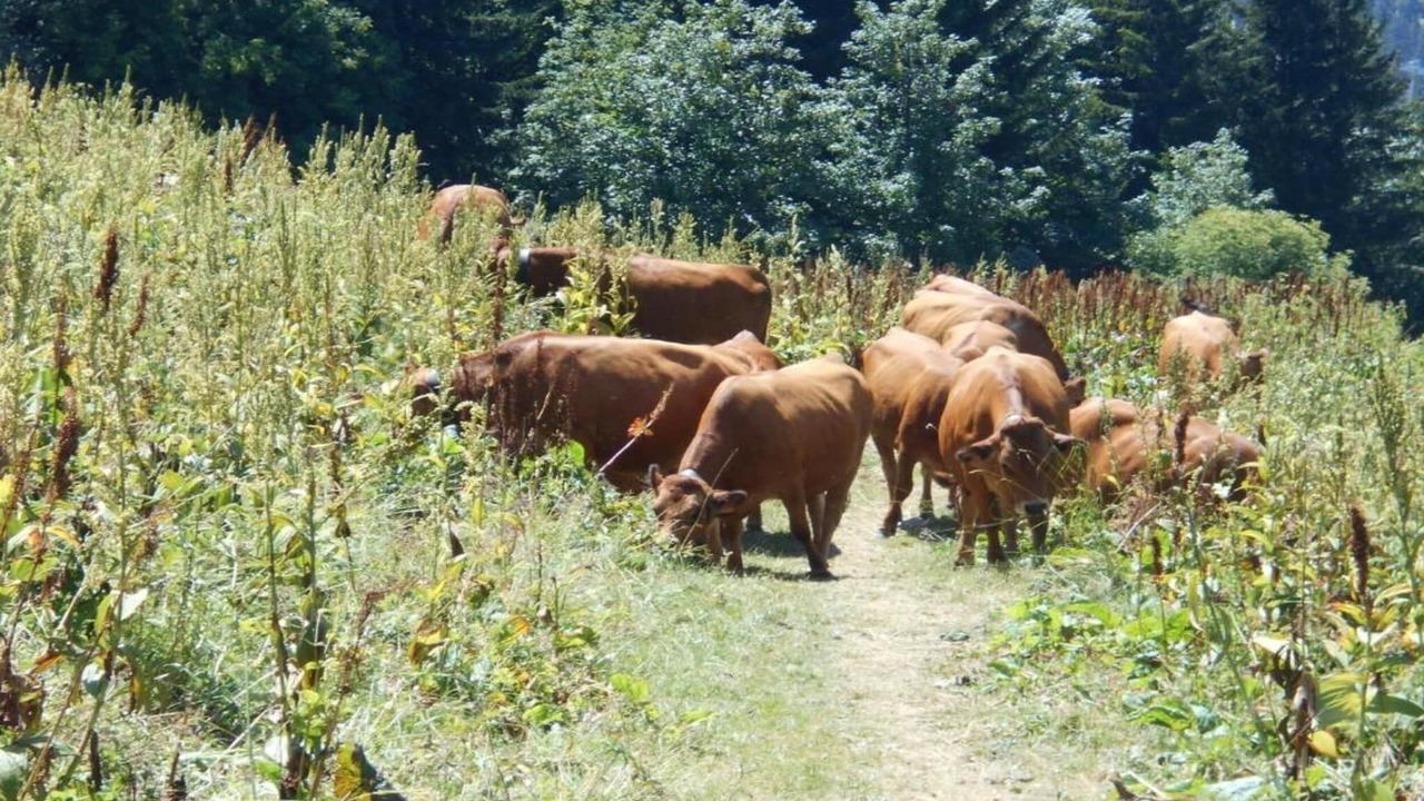 Photo of Others in Doucy-Combelouviere