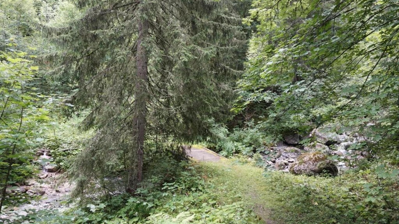 Photo of Others in Doucy-Combelouviere