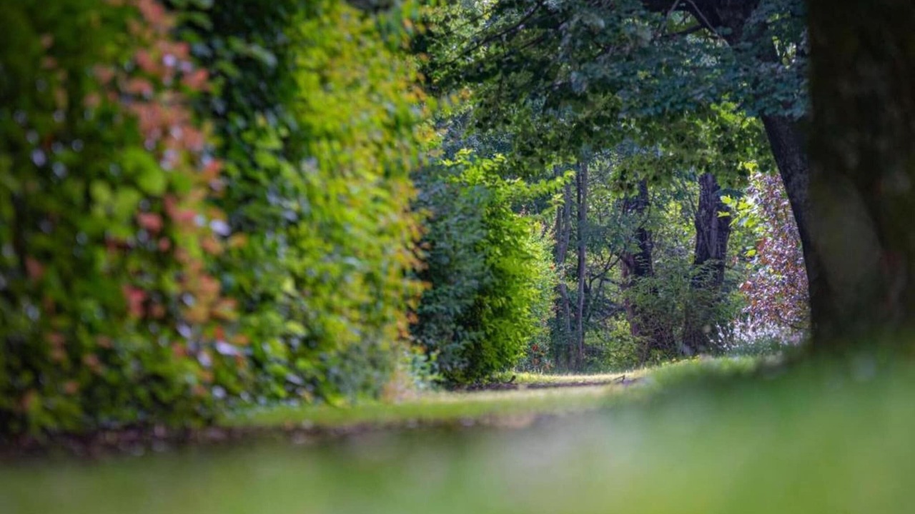Photo of Others in Doucy-Combelouviere