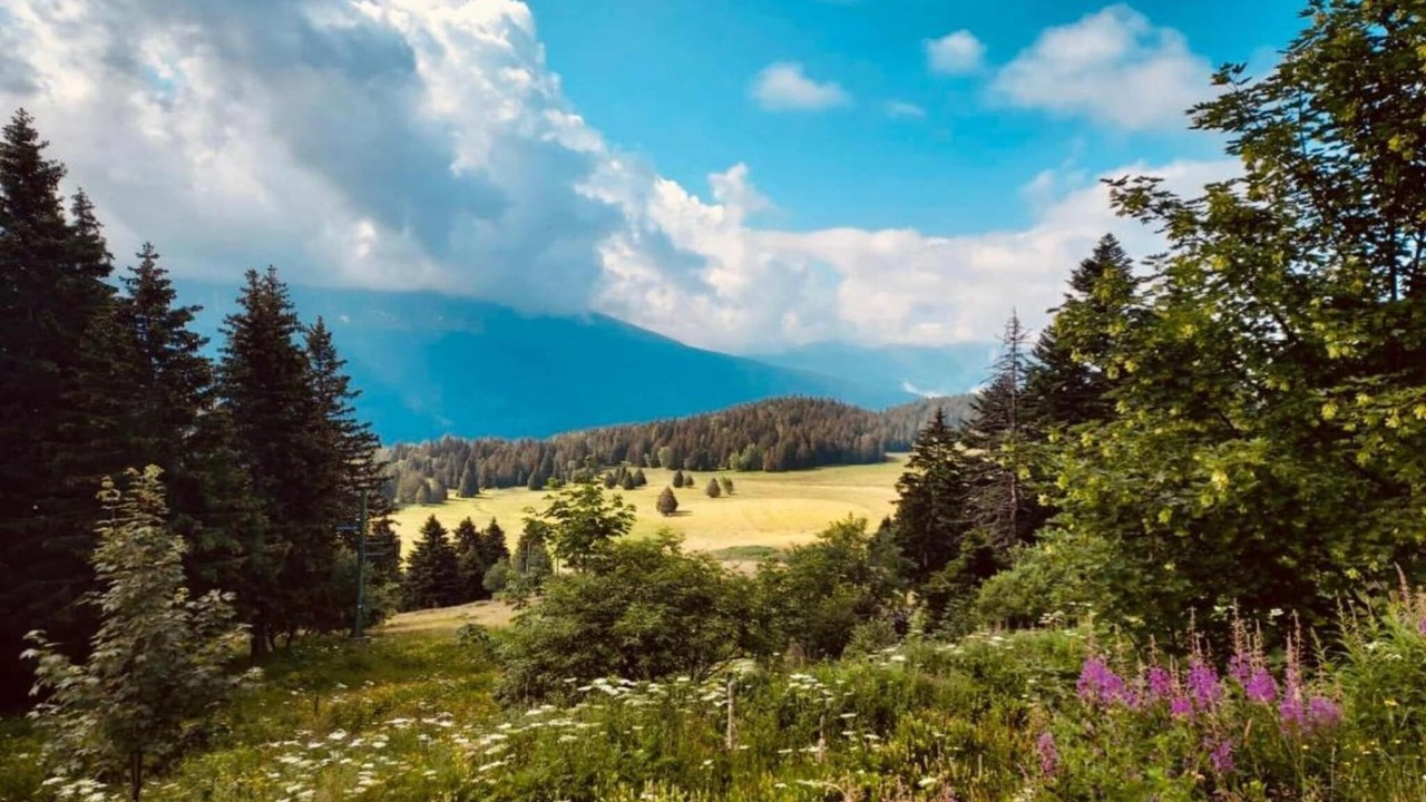 Photo of Others in Chamrousse
