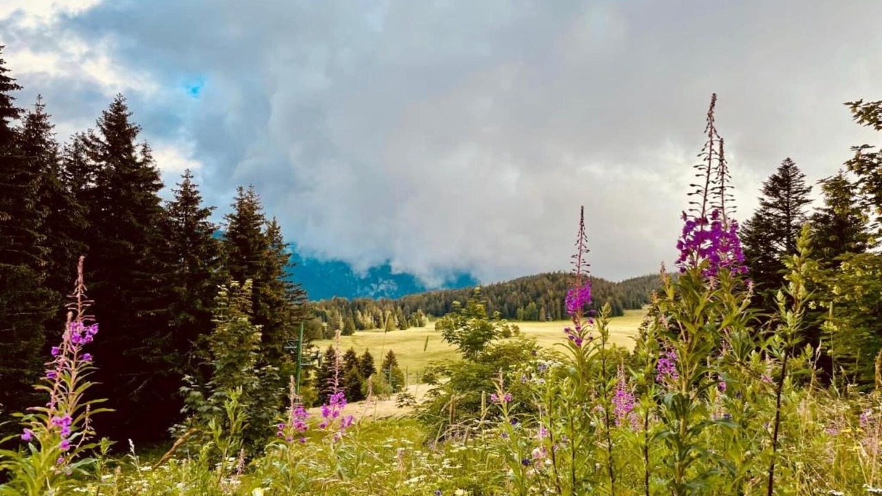 Photo of Others in Chamrousse