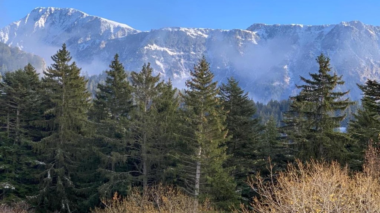 Photo of Others in Chamrousse