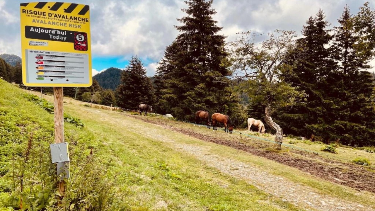 Photo of Others in Chamrousse