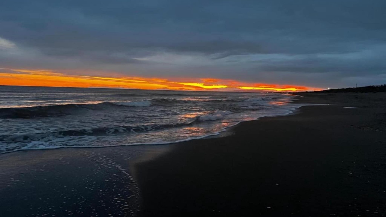 Photo of Others in Serignan