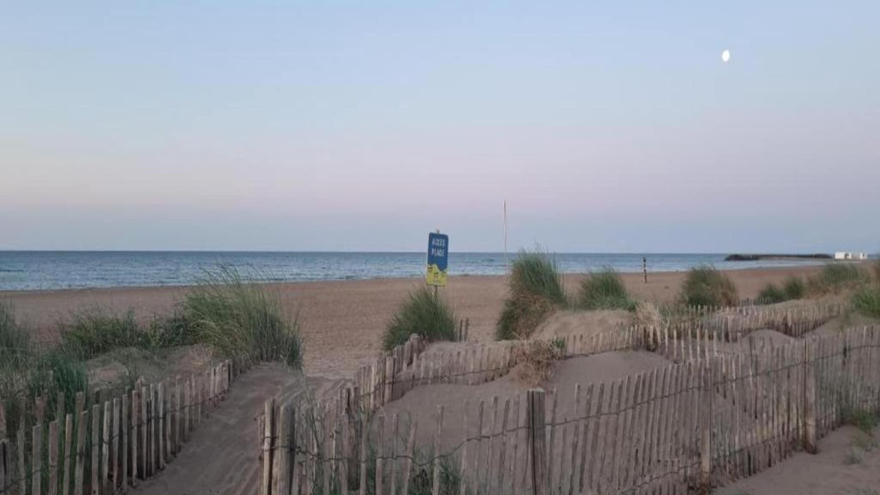 Photo of Others in Serignan