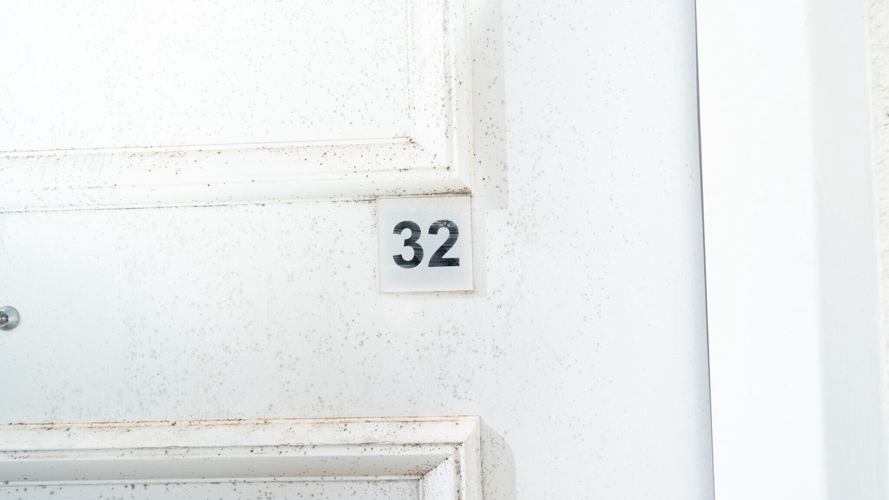 Photo of Others in Serignan