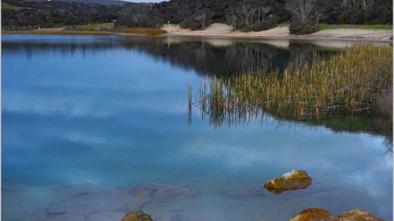 Photo of Others in Turiwiri