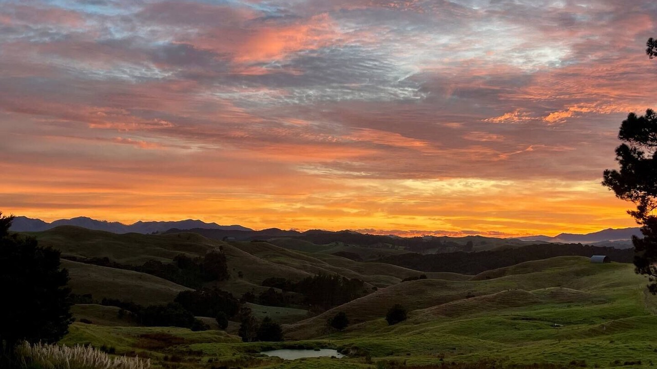 Photo of Others in Turiwiri