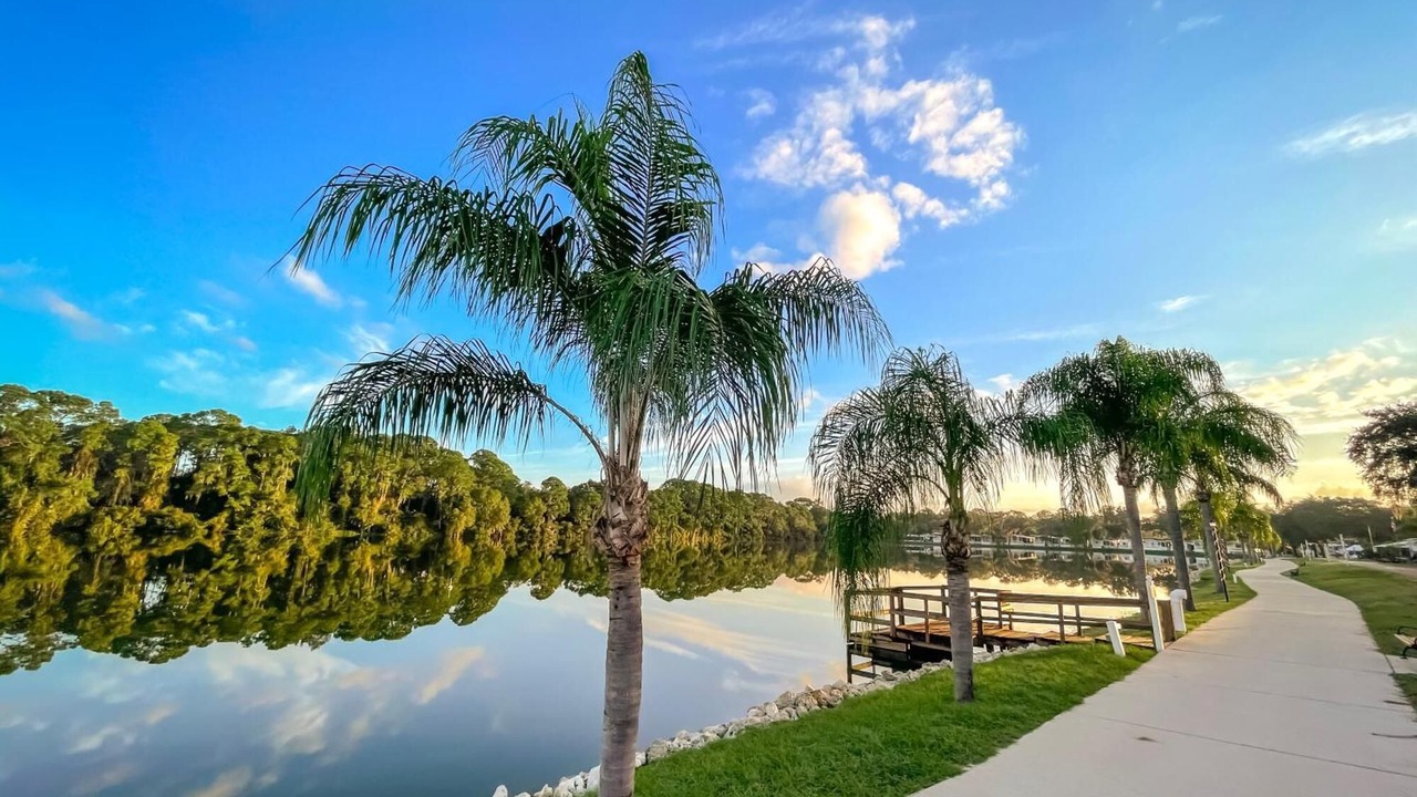Photo of Others in Braden River