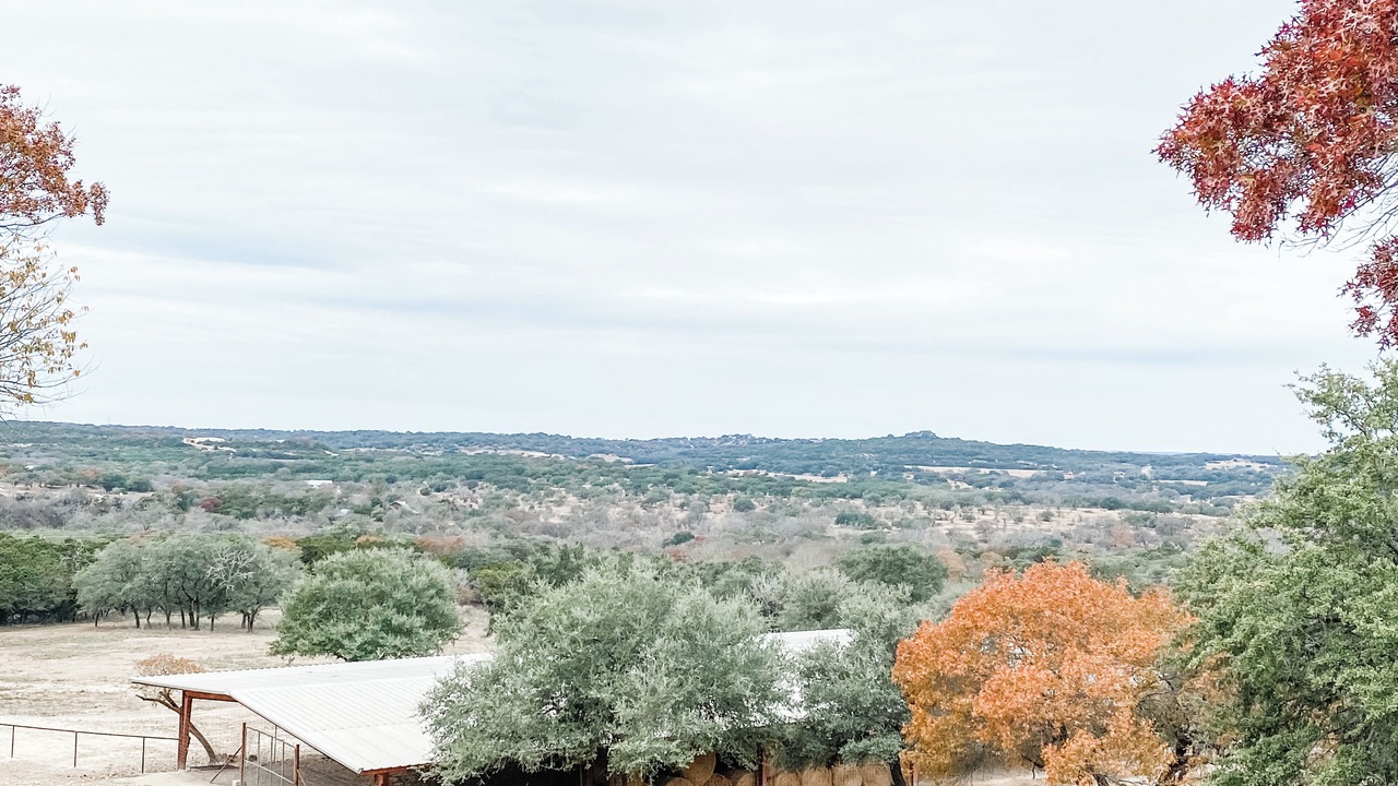 Photo of Others in Boerne