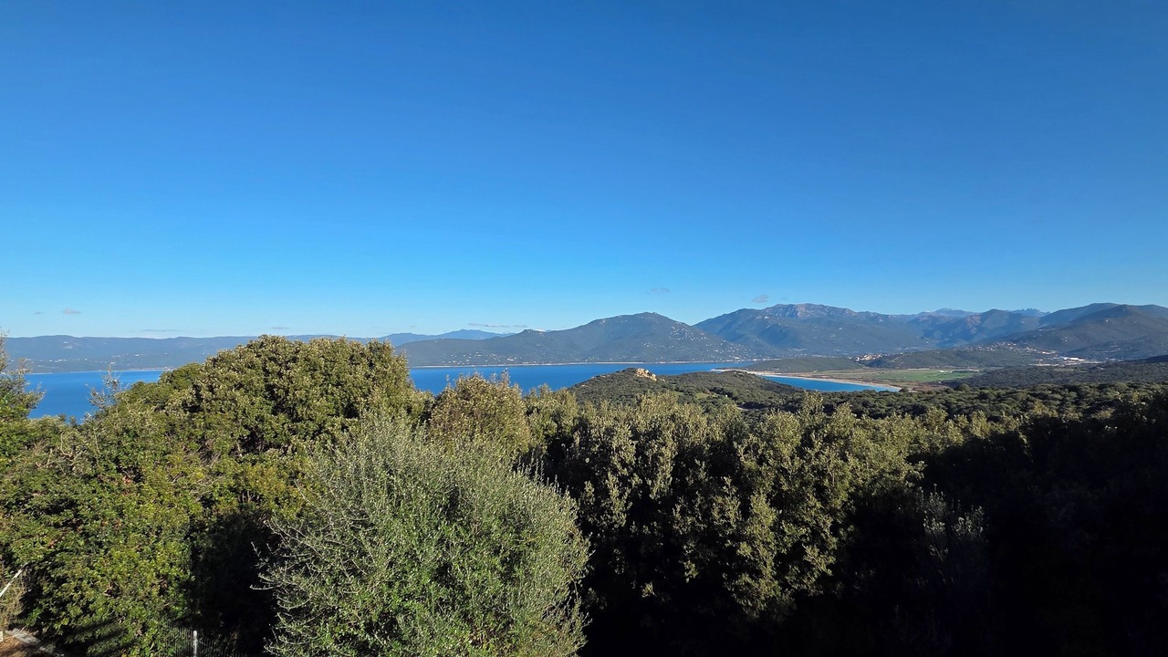 Photo of Others in Belvedere-Campomoro