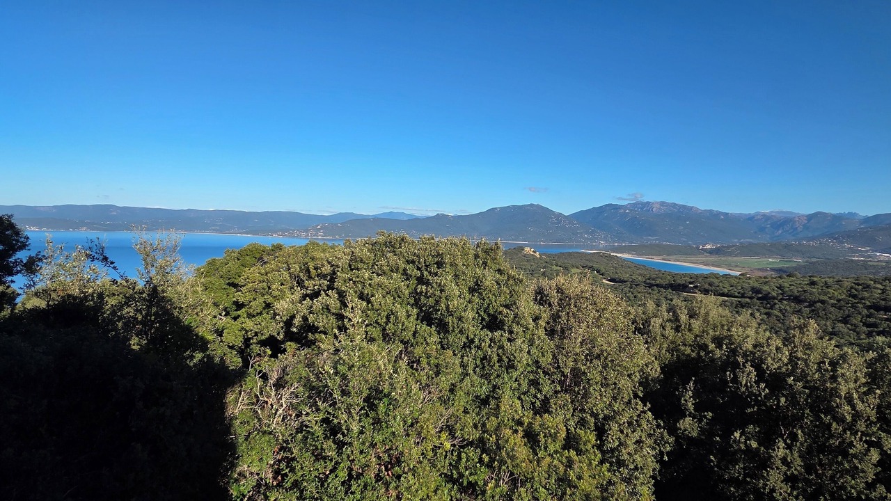 Photo of Others in Belvedere-Campomoro