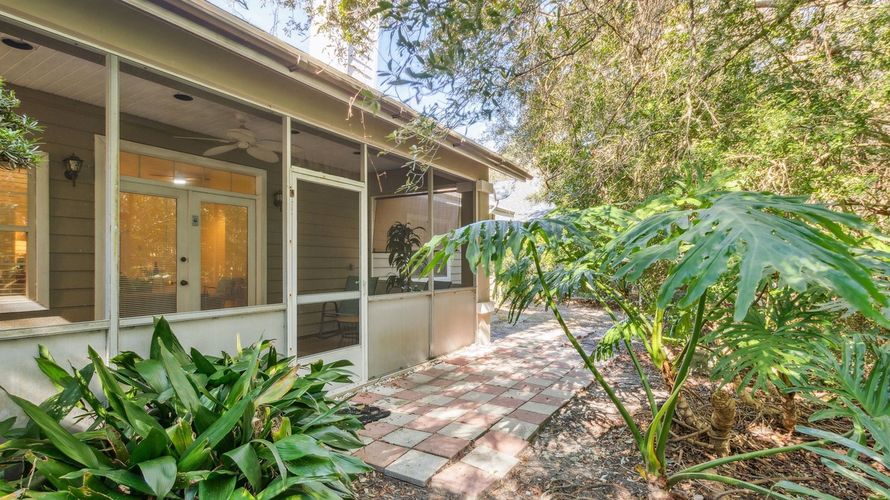 Photo of Outdoor in American Beach