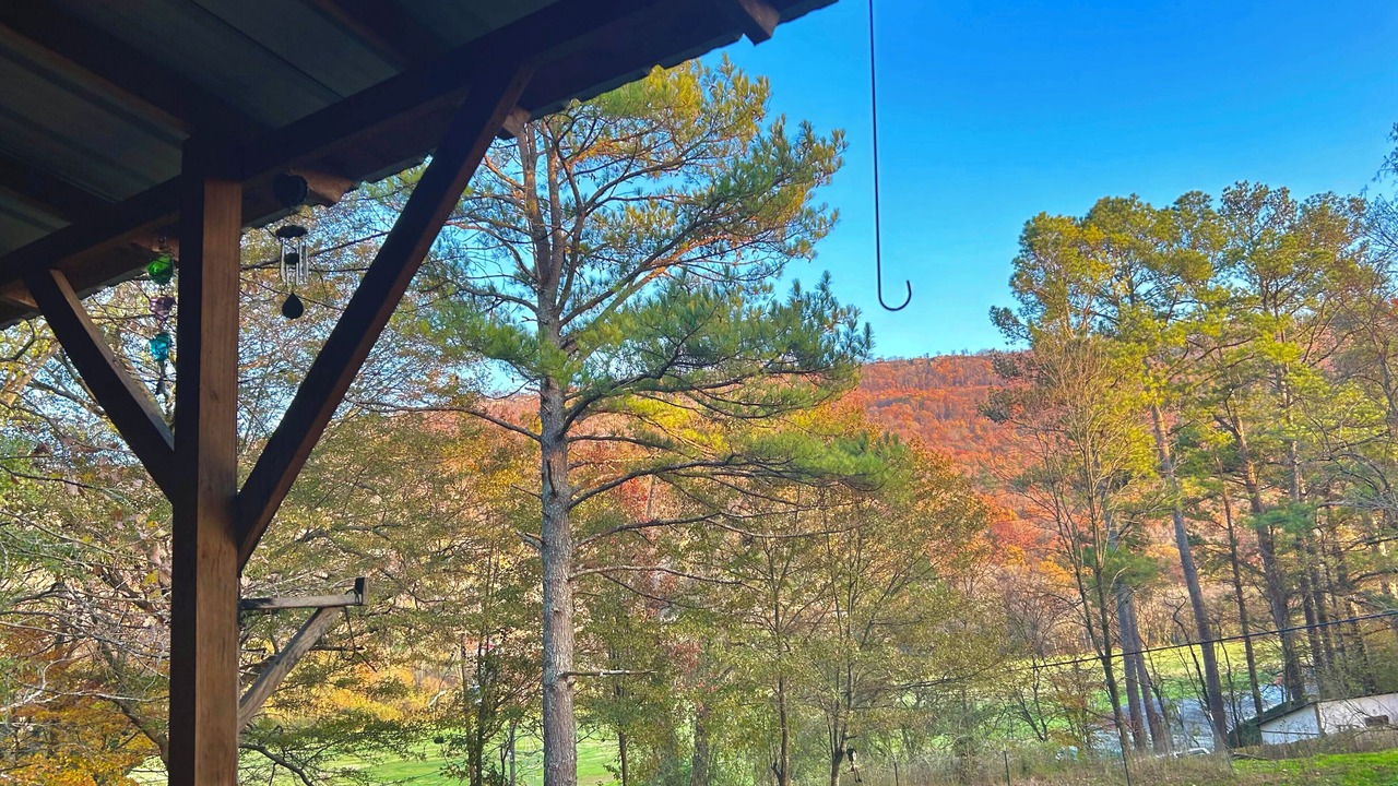 Photo of Outdoor in Wildwood