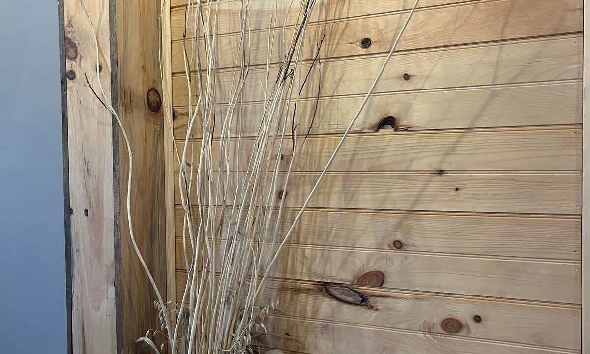 Photo of Outdoor in Day